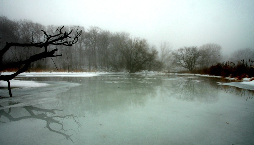 Frozen Pond